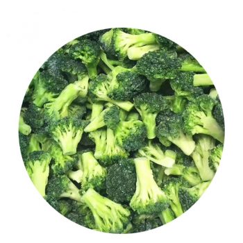 IQF frozen Broccoli Cuts Steam fresh Broccoli Cuts Frozen Vegetables good price Supplier manufacture online